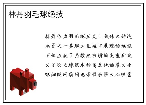 林丹羽毛球绝技