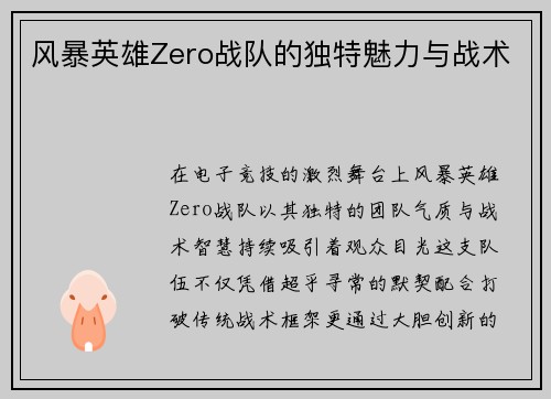 风暴英雄Zero战队的独特魅力与战术